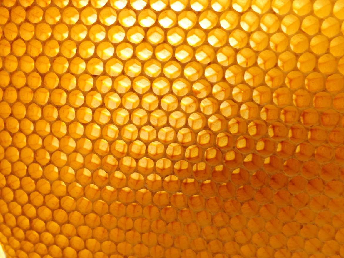 honeycomb.jpg