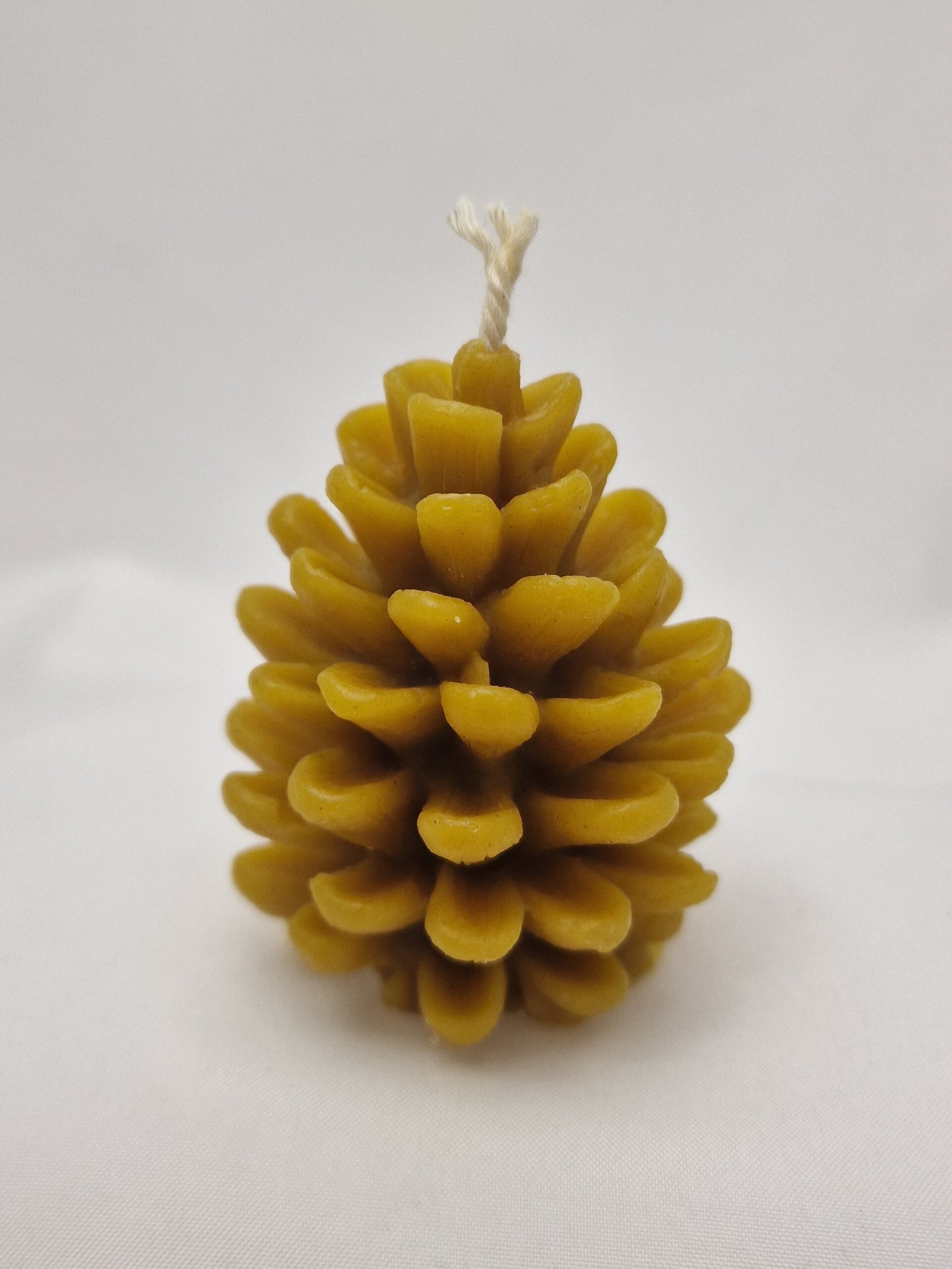 Voštana sveća Šišarka